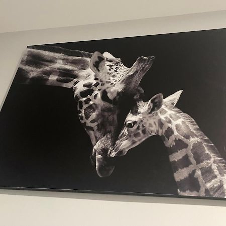 Apartamento Banferra 헤레스 외부 사진