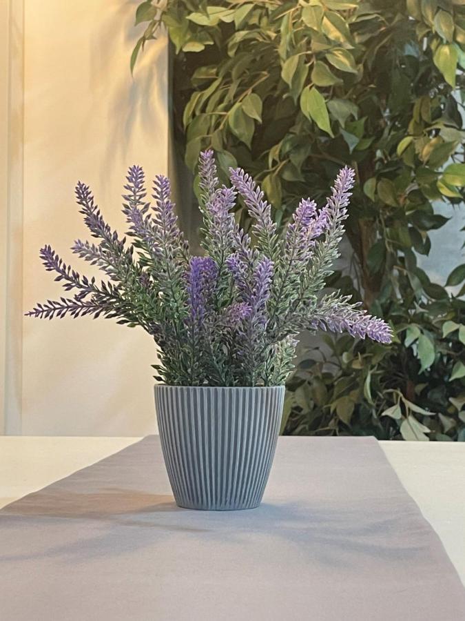 Apartamento Banferra 헤레스 외부 사진