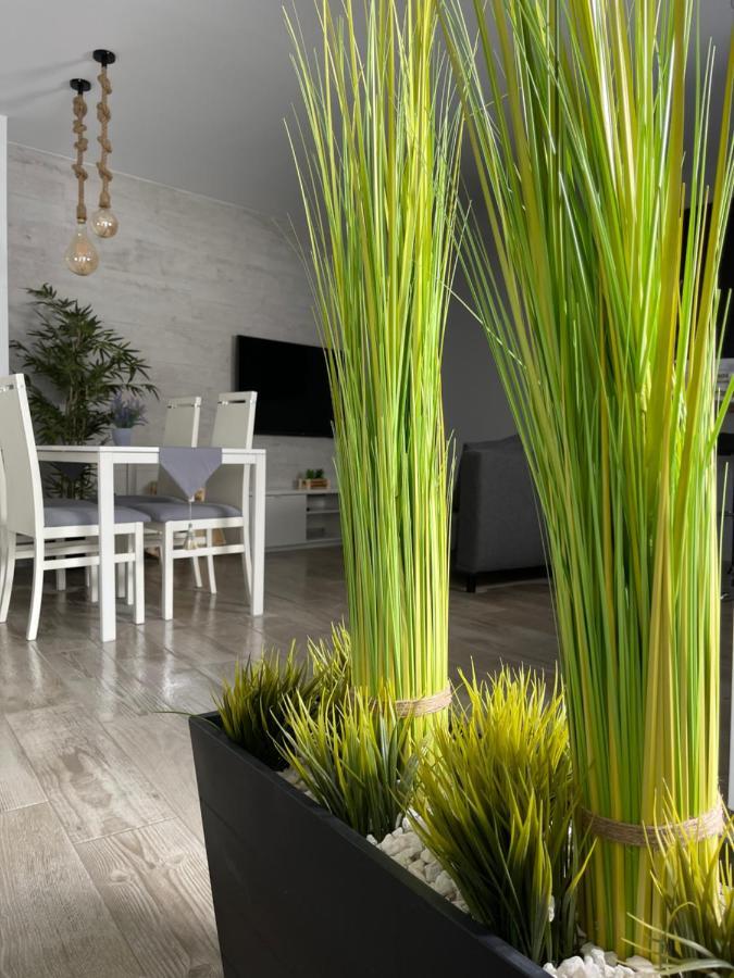 Apartamento Banferra 헤레스 외부 사진